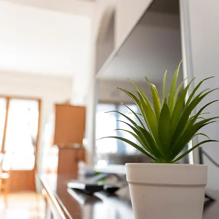 To Stay, * Fontane Bianche