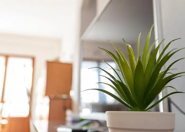 To Stay, * 冯塔尼比安奇